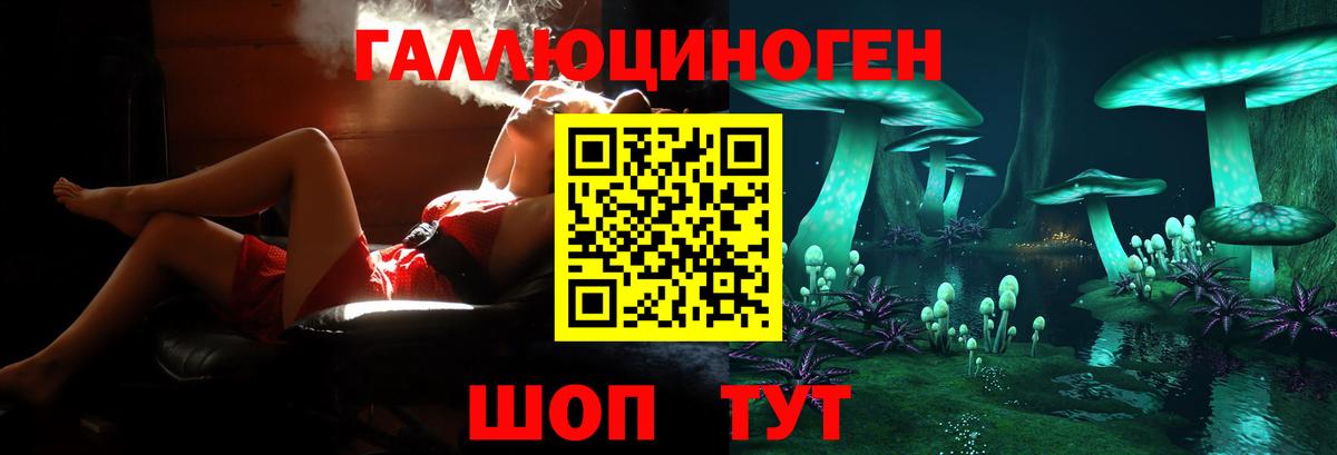 Псилоцибиновые грибы мицелий Кизляр